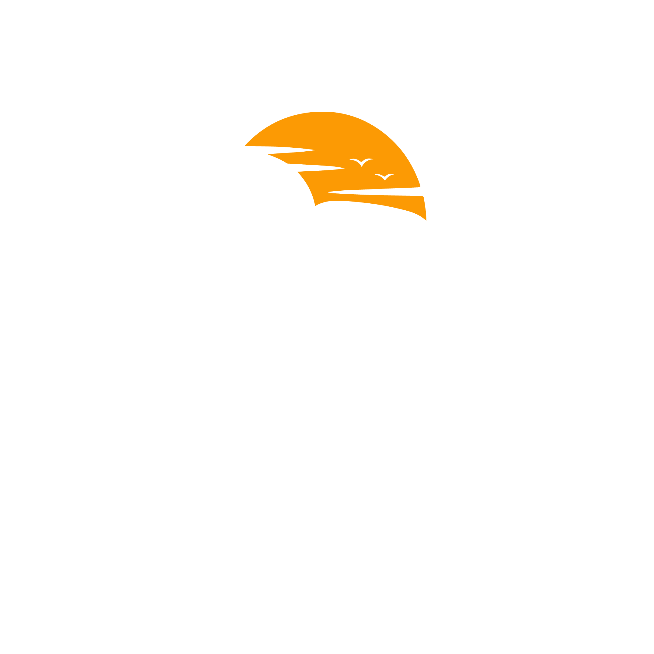 GITANJALI TRAVELS